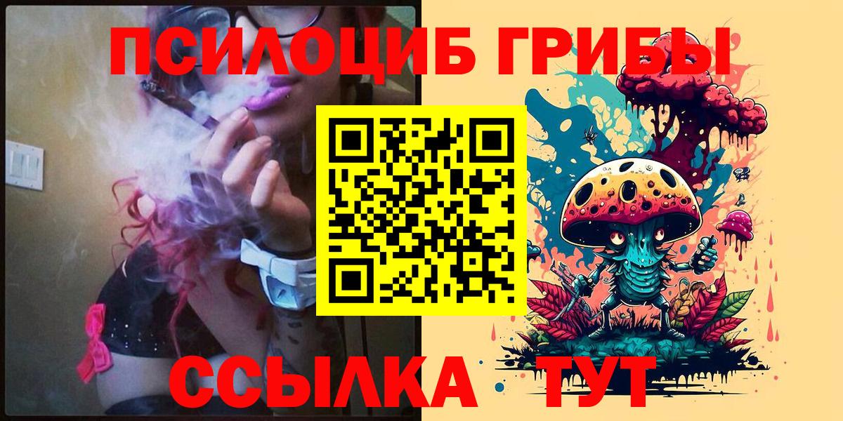 Псилоцибиновые грибы Psilocybe  Псилоцибиновые грибы мицелий  Троицк  Вход с VPN 